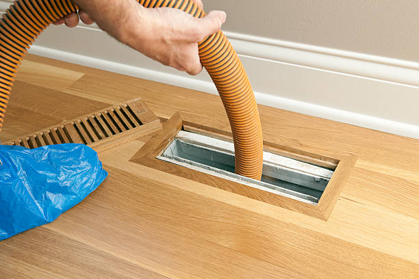 Best Home Air Vent Cleaning  in Niwot, CO